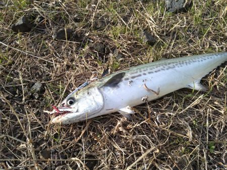 リーダーがズタズタに